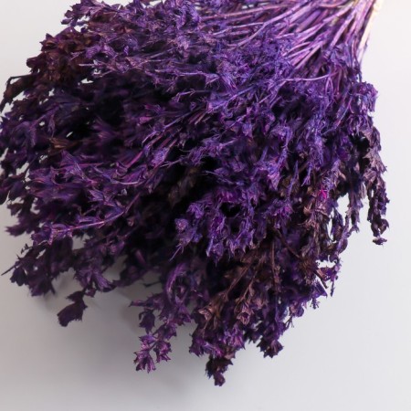 Set of dried flowers "chandra", banch length 40 (+/- 6 cm), purple-2