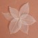 Dry leaves, (set 5 pcs), size 1 pcs :: 8 × 5 cm, white color