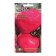 Seed Tomat "Arbuz", 5 pcs