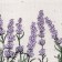 Pocket Textile Ethel "Livenge Magic Provence", 41*20 cm