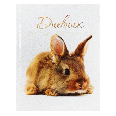 Universal diary for grades 1-11, "hare", solid cover 7BC, glossy lamination, 40 sheets-1
