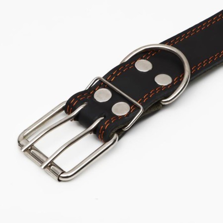 Collar combined leather/tarpaulin, dimensionless, 83 x 4.5 cm, Osh 20-70 cm, black-3