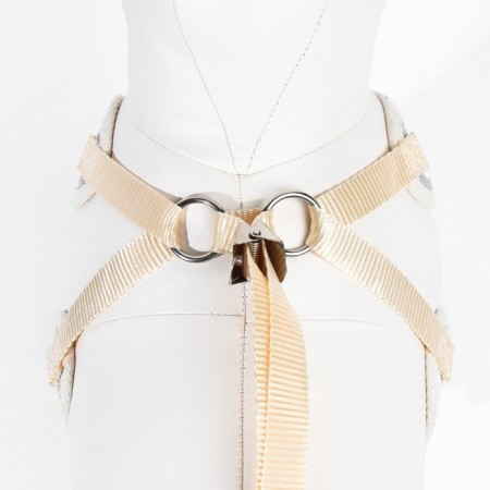 A set with a soft harness "peas", size S, leash 120 x 1.5 cm, og 28-62 cm, gray-5
