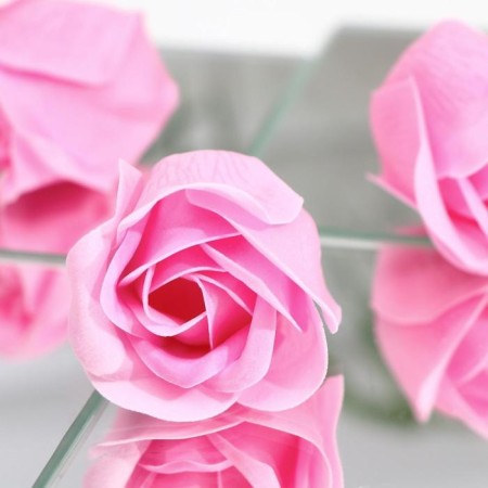 Soap roses and a bear cub, set-5