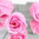 Soap roses and a bear cub, set