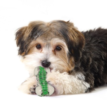 Petstags toy "Crispy Bone" for dogs, rubber, very small-2