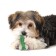 Petstags toy "Crispy Bone" for dogs, rubber, very small