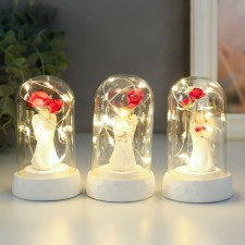 Souvenir Polystone Light 