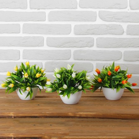 Bonsai in the pot "Tulips" 14x16 cm, mix-3