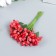 Flowers for decorating "inflorescence" red 1 bouquet = 12 colors 8.5 cm