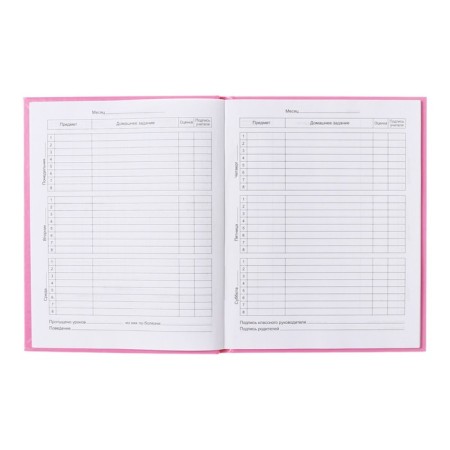 Diary 5-11 class Cat, 48 sheets, solid cover, glossy lamination, foil embossing, offset block-7