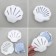 Smell absorber for the refrigerator "shell", 9.5 × 8.5 × 3 cm, color mix