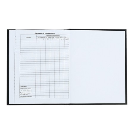 Universal Diary 1-11 grade Pacification, 40 sheets, solid cover, matte lamination, selective varnish, offset block-6