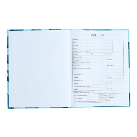 Diary for grades 1-11, solid cover "Vlad A4", 40 sheets, glossy lamination-3
