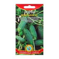 Seeds Cucumber 