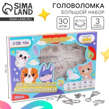 Metal puzzle 30 pcs 