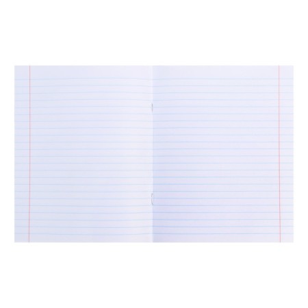 Notebook 48 sheets in the Error line "for essays", cover coated paper, block offset-2
