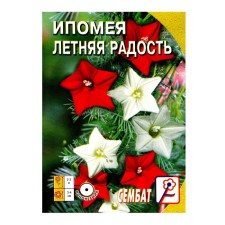 Flowers of the Ipomeus 
