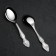 Tablespoon "Troika", h = 19 cm, thickness 2 mm, silver color