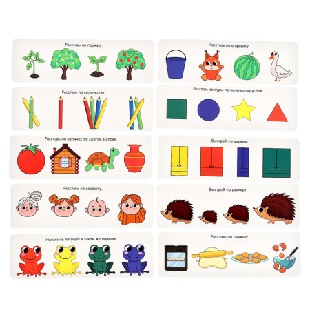 Developing set "IQ frog"-4