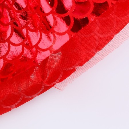 Carnival set "Winter Dragon", red color: wings, skirt and rim-9