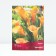Kalla Chameleon, rr 14/16, 1 pc, spring 2024