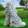 Garden figure "dog Poodle" 17x29x29cm