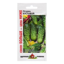 Cucumber seeds 