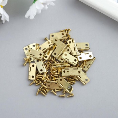 Loop for a casket metal with rounded corners gold + screws set 25 pcs 1.6x1.3 cm-1