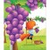Cody fox. Favorite colors