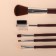 A set of makeup brushes, 5 objects, dark brown color