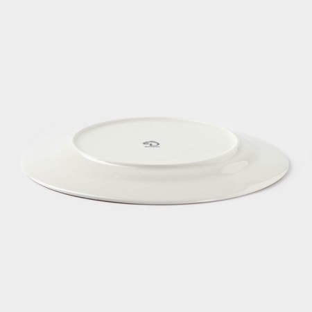 Plate porcelain dining shares askım, d = 25 cm, red color-2