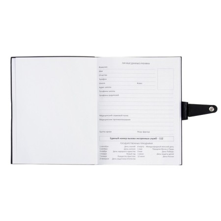 Universal diary for grade 1-11 Favourite. Black, soft cover, artificial leather, foil embossing, liesse, 80 g/m2-3