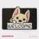 Rug -shaped muddy shares "Corgi", 40 × 60 cm, color mix