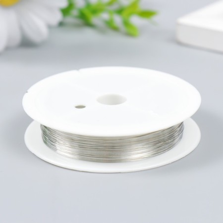 Wire for creativity "Astra" 0.3 mm, 10 m, silver-1
