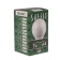 LED LED SAFFIT, G45, 7 W, E14, 6400 K, 560 LM, 220 °, 80 x 45