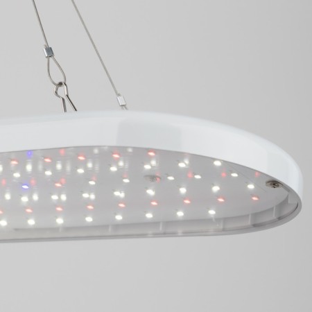 Lamp for plants ERA Fito-25W-QLED-Fly suspended full spectrum 25 W-9