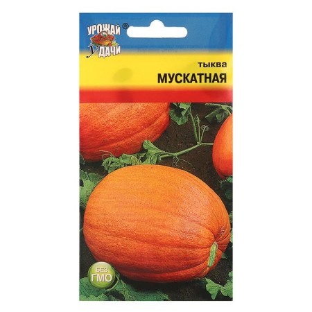 Seeds of pumpkin "Muscat", 1 g