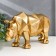 Souvenir Polystone 3D "Golden rhino" 12x8x25.1 cm