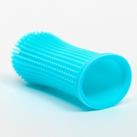 Brush for brushing animal teeth, 5.5 x 2.5 cm, blue, container 7 x 4 cm-4