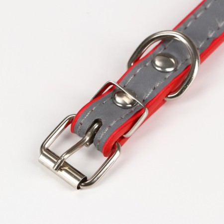 A collar with bones reflective, 37 x 1.3 cm, Osh 26-33, red-3