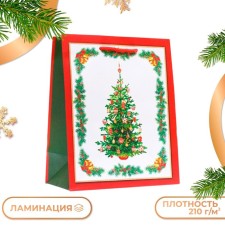 Gift package 