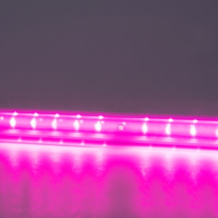 Lamp for plants LED linear, 560 mm Uniel, 18 W, Bio Led, IP40, white color-8