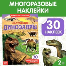 Stickers reusable 
