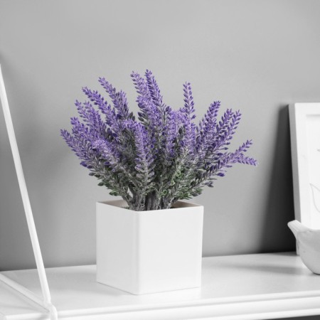 Bonsai "Lavender Extra" 8x19 cm, lilac