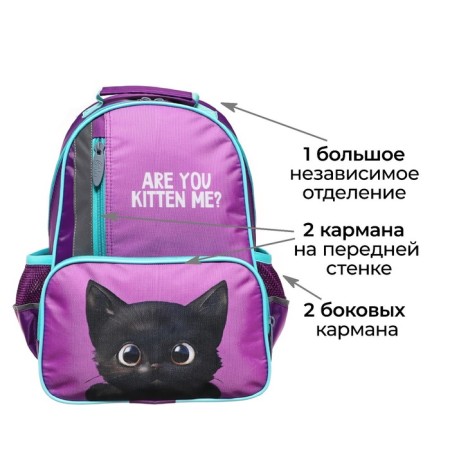 School backpack, 37 x 26 x 13 cm, ergonomic back, calligrata orth "Cat Black"-2