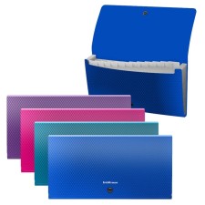 Folder-card, 260 x 138 mm (Travel), 12 departments, 700 μm, Erichkrause 