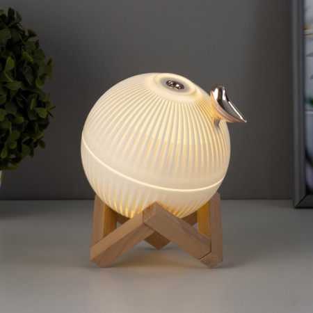 Night with a humidifier ball LED USB AKB White 12x12x11.5 cm Risalux-2