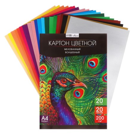 Cardboard of color A4, 20 sheets, 20 colors, magical (gold+silver) Calligrata top, coated 200 g/m2, in the folder in the folder-1