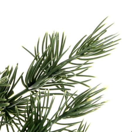 Decor "Branch of charming spruce"-1
